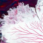 Verborgene Kraft_Die Blüte der Wechseljahre_Detail_2