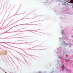 Verborgene Kraft_Die Blüte der Wechseljahre_Detail_4