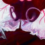 Verborgene Kraft_Die Blüte der Wechseljahre_Detail_5